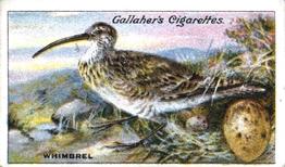 1919 Gallaher Birds Nests & Eggs Series #52 Whimbrel Front
