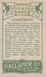 1919 Gallaher Birds Nests & Eggs Series #56 Cormorant Back