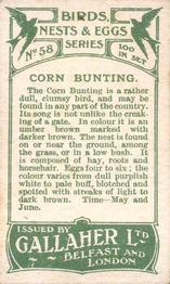1919 Gallaher Birds Nests & Eggs Series #58 Corn Bunting Back