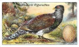 1919 Gallaher Birds Nests & Eggs Series #61 Capercaillie Front