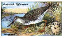 1919 Gallaher Birds Nests & Eggs Series #62 Redshank Front