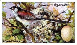 1919 Gallaher Birds Nests & Eggs Series #69 Long-tailed Tit Front