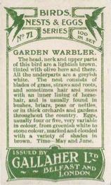 1919 Gallaher Birds Nests & Eggs Series #71 Garden Warbler Back