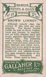 1919 Gallaher Birds Nests & Eggs Series #77 Brown Linnet Back