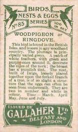 1919 Gallaher Birds Nests & Eggs Series #85 Wood Pigeon or Ringdove Back