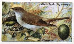 1919 Gallaher Birds Nests & Eggs Series #86 Nightingale Front