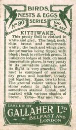 1919 Gallaher Birds Nests & Eggs Series #90 Kittiwake Back