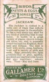 1919 Gallaher Birds Nests & Eggs Series #92 Jackdaw Back