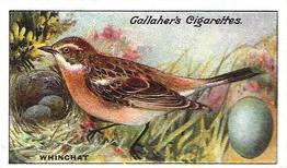 1919 Gallaher Birds Nests & Eggs Series #95 Whinchat Front