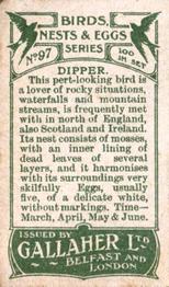 1919 Gallaher Birds Nests & Eggs Series #97 Dipper Back