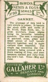 1919 Gallaher Birds Nests & Eggs Series #99 Gannet Back