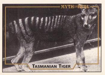 1994 American Realist Myth or Real #4 Tasmanian Tiger Front