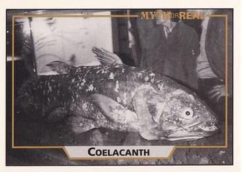 1994 American Realist Myth or Real #60 Coelacanth Front