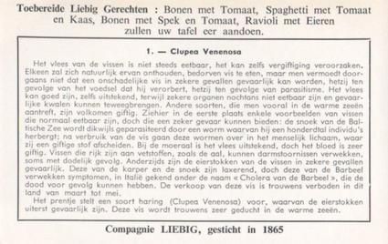1959 Liebig Voor Het Verbruik Ongeschikte Vissen (Inedible Fish) (Dutch Text) (F1716, S1715) #1 Clupea Venenosa Back