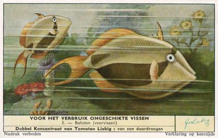 1959 Liebig Voor Het Verbruik Ongeschikte Vissen (Inedible Fish) (Dutch Text) (F1716, S1715) #3 Balisten (veervissen) Front