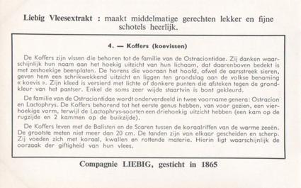 1959 Liebig Voor Het Verbruik Ongeschikte Vissen (Inedible Fish) (Dutch Text) (F1716, S1715) #4 Koffers (koevissen) Back
