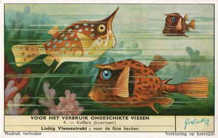 1959 Liebig Voor Het Verbruik Ongeschikte Vissen (Inedible Fish) (Dutch Text) (F1716, S1715) #4 Koffers (koevissen) Front