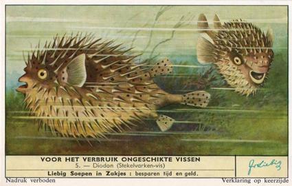 1959 Liebig Voor Het Verbruik Ongeschikte Vissen (Inedible Fish) (Dutch Text) (F1716, S1715) #5 Diodon (Stekelvarken-vis) Front