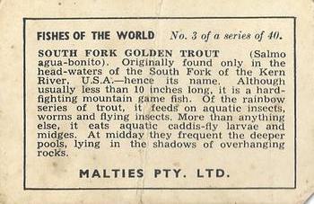 1948 Malties Fishes of the World #3 South Fork Golden Trout Back