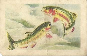 1948 Malties Fishes of the World #3 South Fork Golden Trout Front
