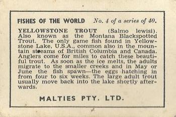 1948 Malties Fishes of the World #4 Yellowstone trout Back