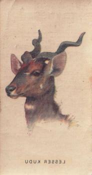 1931 Player's Wild Animals' Heads (Transfers) #NNO Lesser Kudu Front