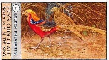 1912 Fry's Birds and Poultry #13 Golden Pheasant Front