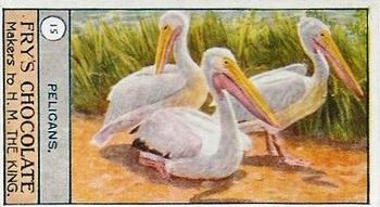 1912 Fry's Birds and Poultry #15 Pelicans Front