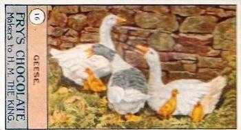 1912 Fry's Birds and Poultry #16 Geese Front