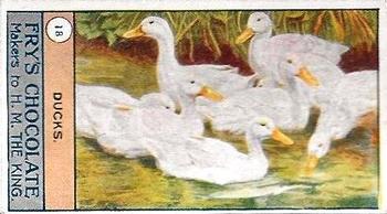 1912 Fry's Birds and Poultry #18 Ducks Front