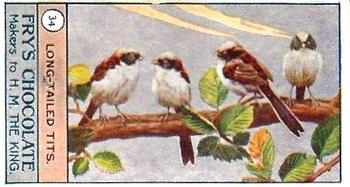 1912 Fry's Birds and Poultry #34 Long-Tailed Tits Front