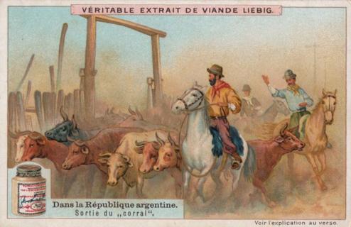 1909 Liebig Dans la Republique argentine (In The Republic of Argentina) (French Text) (F969, S973) #NNO Sortie du 