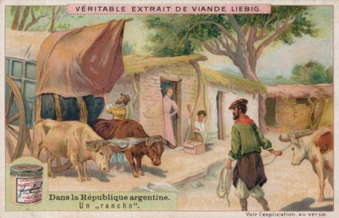 1909 Liebig Dans la Republique argentine (In The Republic of Argentina) (French Text) (F969, S973) #NNO Un 
