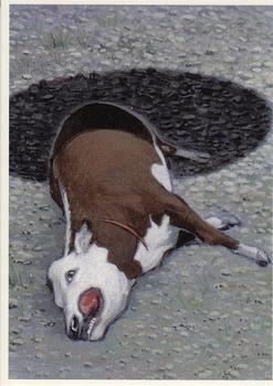 1998 Dark Horse Comics UFOs #50 Animal Mutilations Front
