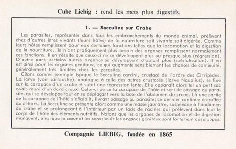 1960 Liebig Phénomènes de regression chez les parasites (Marine parasites) (French Text) (F1738, S1729) #1 Sacculine sur Crabe Back