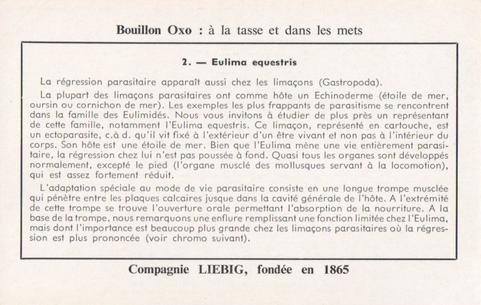 1960 Liebig Phénomènes de regression chez les parasites (Marine parasites) (French Text) (F1738, S1729) #2 Eulima equestris Back