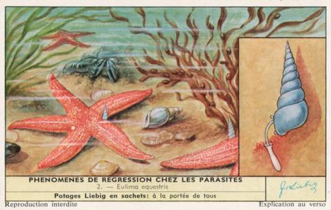 1960 Liebig Phénomènes de regression chez les parasites (Marine parasites) (French Text) (F1738, S1729) #2 Eulima equestris Front