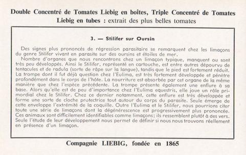 1960 Liebig Phénomènes de regression chez les parasites (Marine parasites) (French Text) (F1738, S1729) #3 Stilifer sur Oursin Back