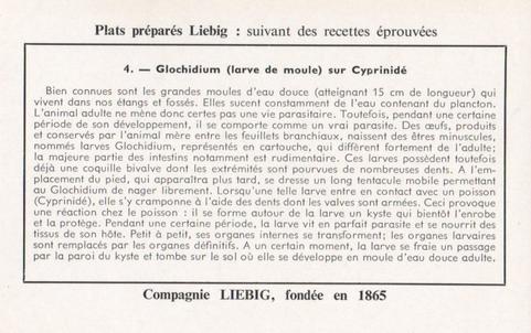 1960 Liebig Phénomènes de regression chez les parasites (Marine parasites) (French Text) (F1738, S1729) #4 Glochidium (larve de moule) sur Cyprinide Back