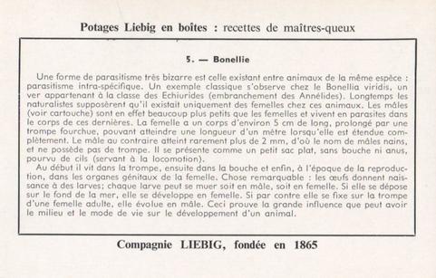 1960 Liebig Phénomènes de regression chez les parasites (Marine parasites) (French Text) (F1738, S1729) #5 Bonellie Back