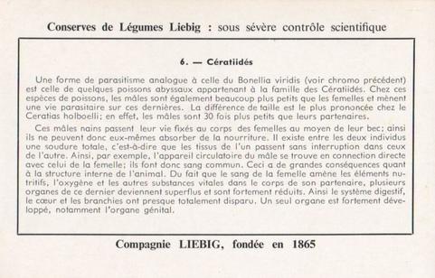 1960 Liebig Phénomènes de regression chez les parasites (Marine parasites) (French Text) (F1738, S1729) #6 Ceratiides Back