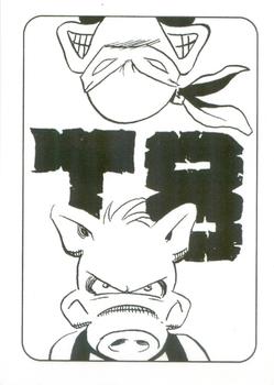 2023 Dave Sim's Cerebus The Aardvark Teenage Mutant Ninja Turtles No. 8 (90-99) #90 Cerebus & Turtle Front