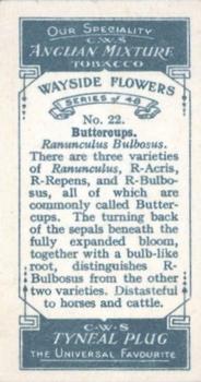 1928 C.W.S. Wayside Flowers #22 Buttercups Back
