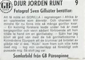 1971 GB Päronsplitt Djur Jorden Runt #9 Gorilla Back