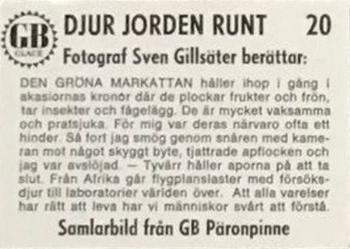 1971 GB Päronsplitt Djur Jorden Runt #20 Den Gröna Markattan Back