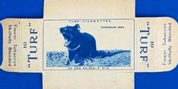 1954 Turf Zoo Animals - Uncut Singles #10 Tasmanian Devil Front