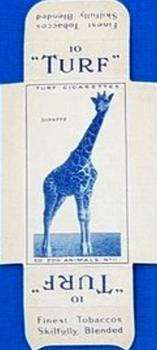 1954 Turf Zoo Animals - Uncut Singles #11 Giraffe Front