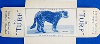 1954 Turf Zoo Animals - Uncut Singles #29 Jaguar Front