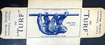 1954 Turf Zoo Animals - Uncut Singles #50 Three-Toed Sloth Front