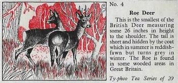 1957 Ty-Phoo Tea Some Countryside Animals #4 Roe Deer Front